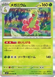 Meganium M01S-005-063